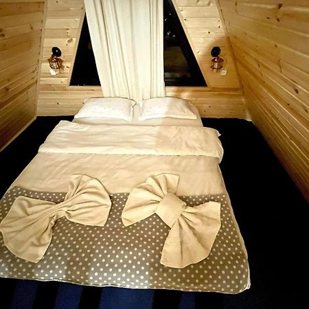 Ska Cottage Казбеги Экстерьер фото